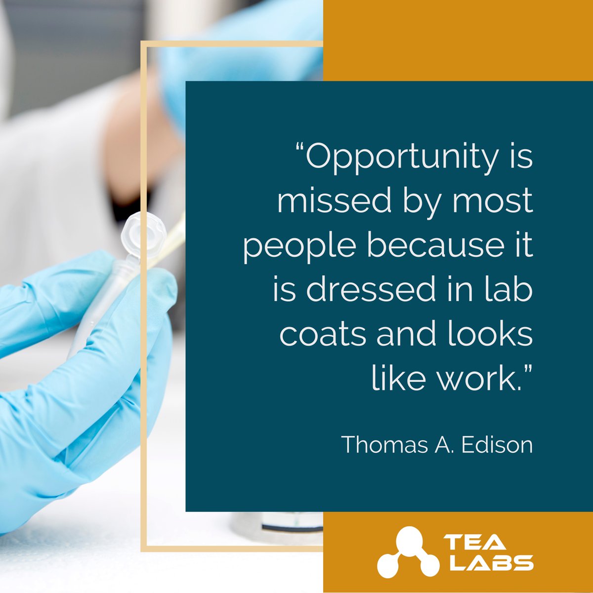 tealabsnam's tweet photo. “Opportunity is missed by most people because it is dressed in lab coats and looks like work.” ~ Thomas A. Edison

#quote #qotd #work #opportunity #thomasedison #edison #inspiration #motivation #monday #mondaymotivation https://t.co/6nveD3RY8z