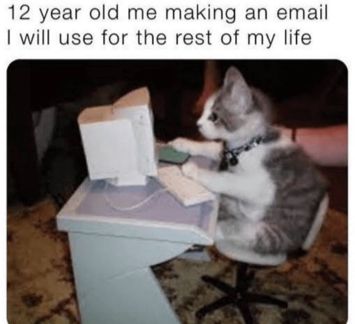 non aesthetic things tweet media