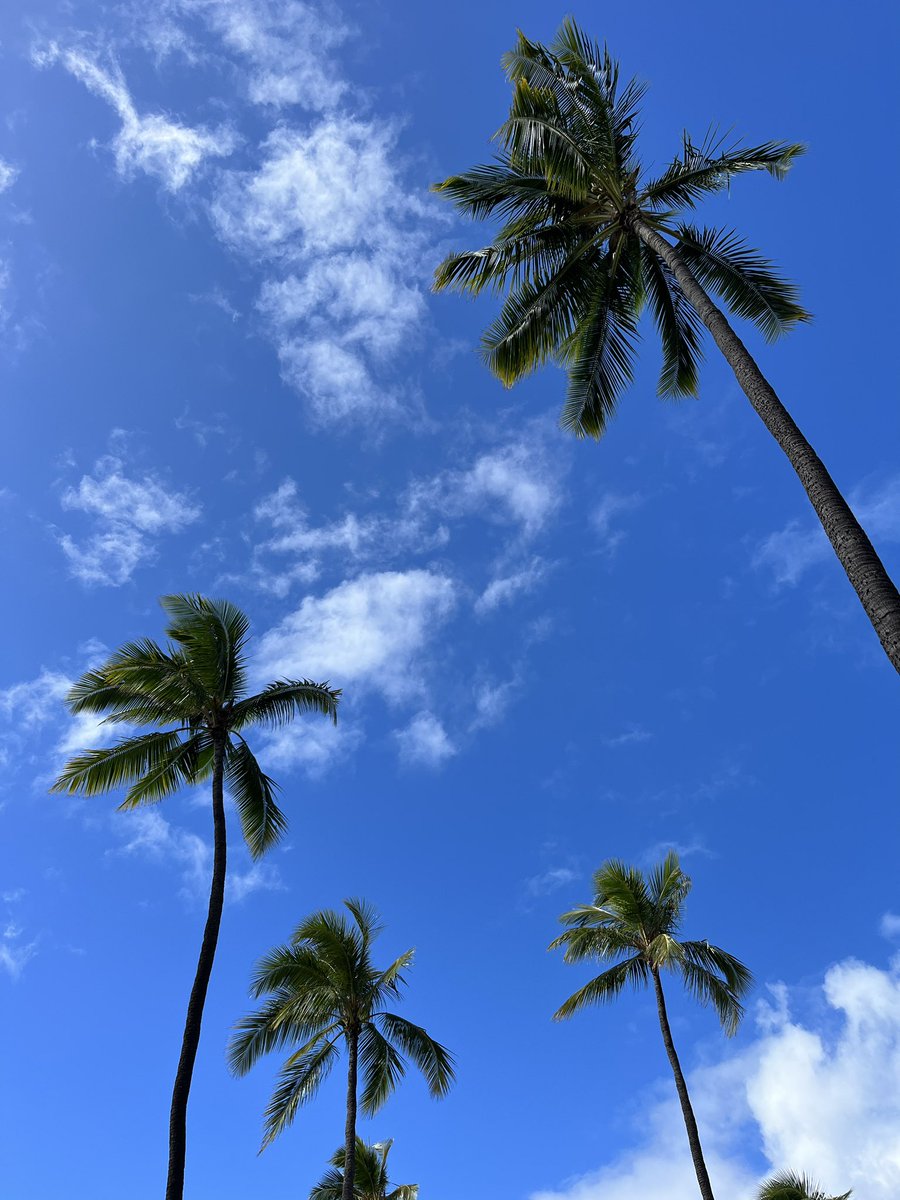 mimo1007's tweet photo. アロハな街に来ても、靴を修理したい私です🤣 https://t.co/oEgIznm8W7