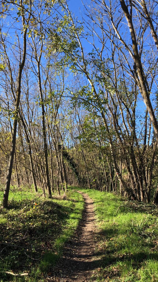 Alla Piccola fiera d’autunno di Roncofreddo, arrivandoci per sentieri