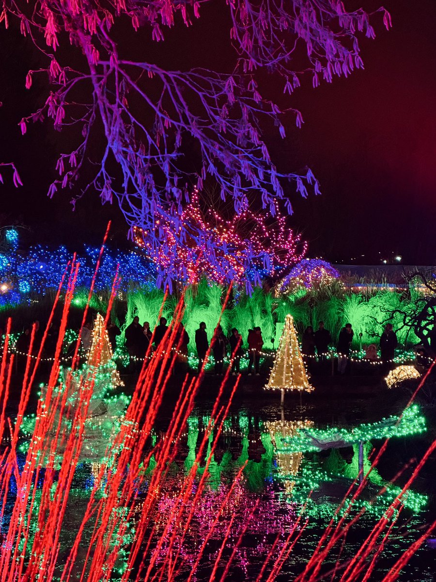 addelica's tweet photo. in the mood to see a million lights https://t.co/vfV4B7ZXIo