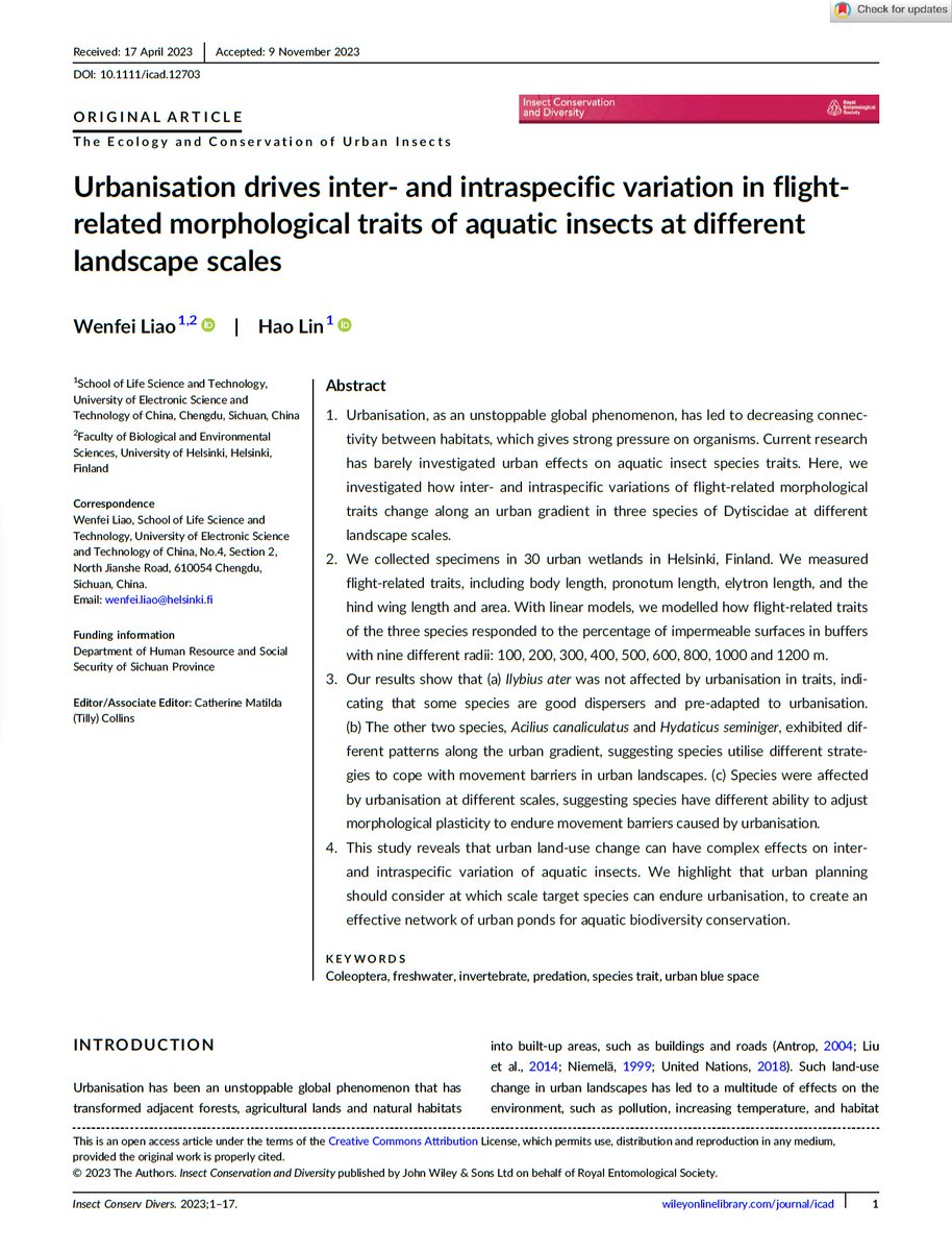 Our new paper shows #aquatic #insects exhibit responses to #urbanisation, but not in all species, not in all traits, not at all scales. #Urban planning should consider #landscape #scales Link: doi.org/10.1111/icad.1… @WenfeiLiao #HaoLin #Dytiscidae #SpeciesTrait