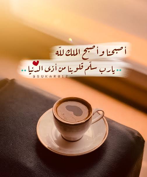 صباح الخير 🌿🤍