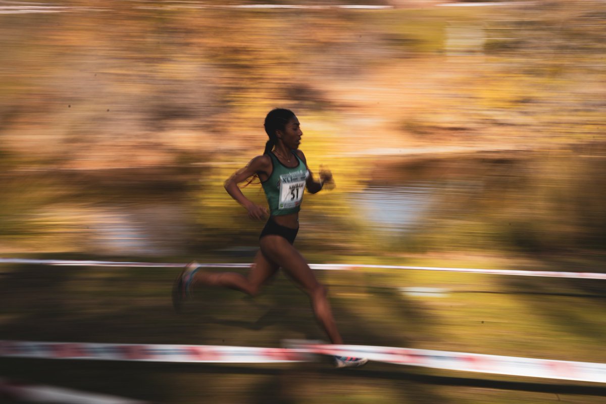 Jose Irurozqui Soto tweet media