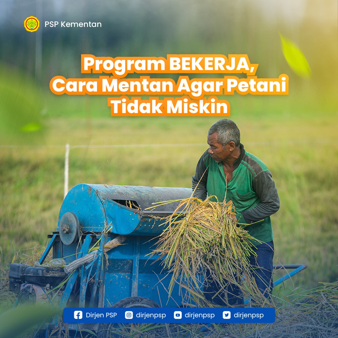 dirjenpsp's tweet photo. Program BEKERJA merupakan perwujudan dari arahan Presiden Jokowi, dimana program ini harus fokus pada peningkatan pendapatan dan daya beli mayoritas rumah tangga miskin yang bekerja di sektor pertanian maupun informal.

#kementan #kementerianpertanian #programkementan #ditjenpsp https://t.co/tC2iAdYUHe