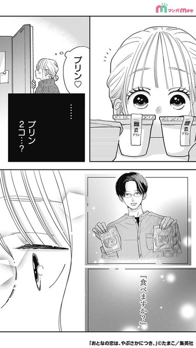 おとなの恋はやぶさかにつき4・5 匿名配送】 女性漫画 おとなの