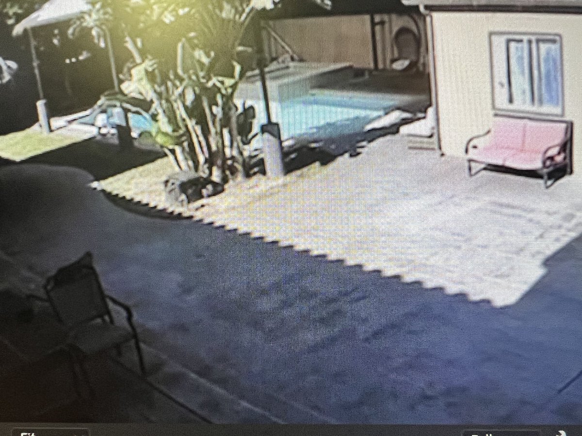 Amy Powell tweet media