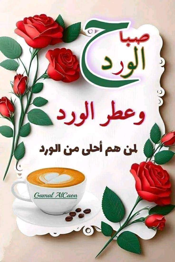 صباح كله يشع بعبق وعشق الحيآه