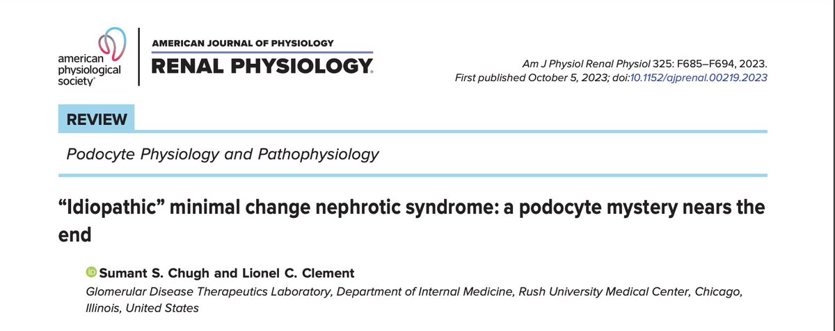 Unraveling ídiopathic"Minimal Change Nephrotic Syndrome: a podocyte mystery nears the end
#Podocyte #podocytopathies. Worthy to read
