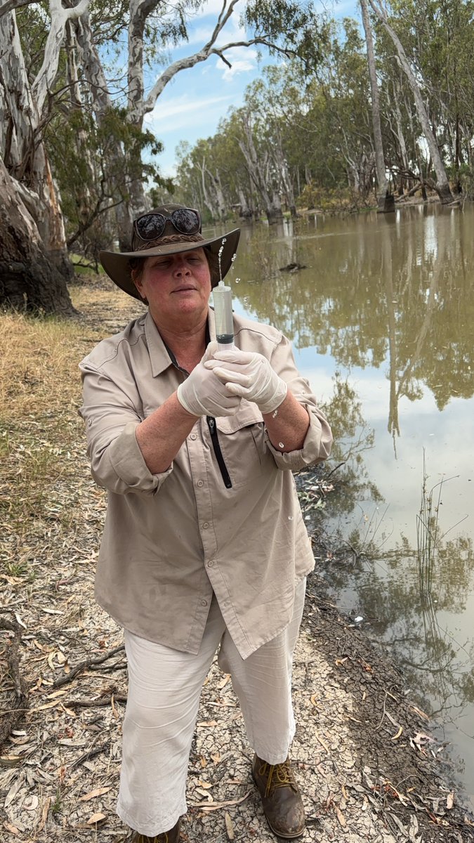 Goulburn Broken CMA (@gbcma) on Twitter photo Last week GBCMA staff collected DNA samples from the Broken and Nine Mile Creeks. The samples have been sent to the Great Australian Wildlife Search and results should reveal which critters have been using the waterway in the past 14 days. Amazing!
<a href="/GBCMA/">Goulburn Broken CMA</a> <a href="/MD_Basin_Auth/">MD Basin Authority</a> Last week GBCMA staff collected DNA samples from the Broken and Nine Mile Creeks. The samples have been sent to the Great Australian Wildlife Search and results should reveal which critters have been using the waterway in the past 14 days. Amazing!
<a href="/GBCMA/">Goulburn Broken CMA</a> <a href="/MD_Basin_Auth/">MD Basin Authority</a>