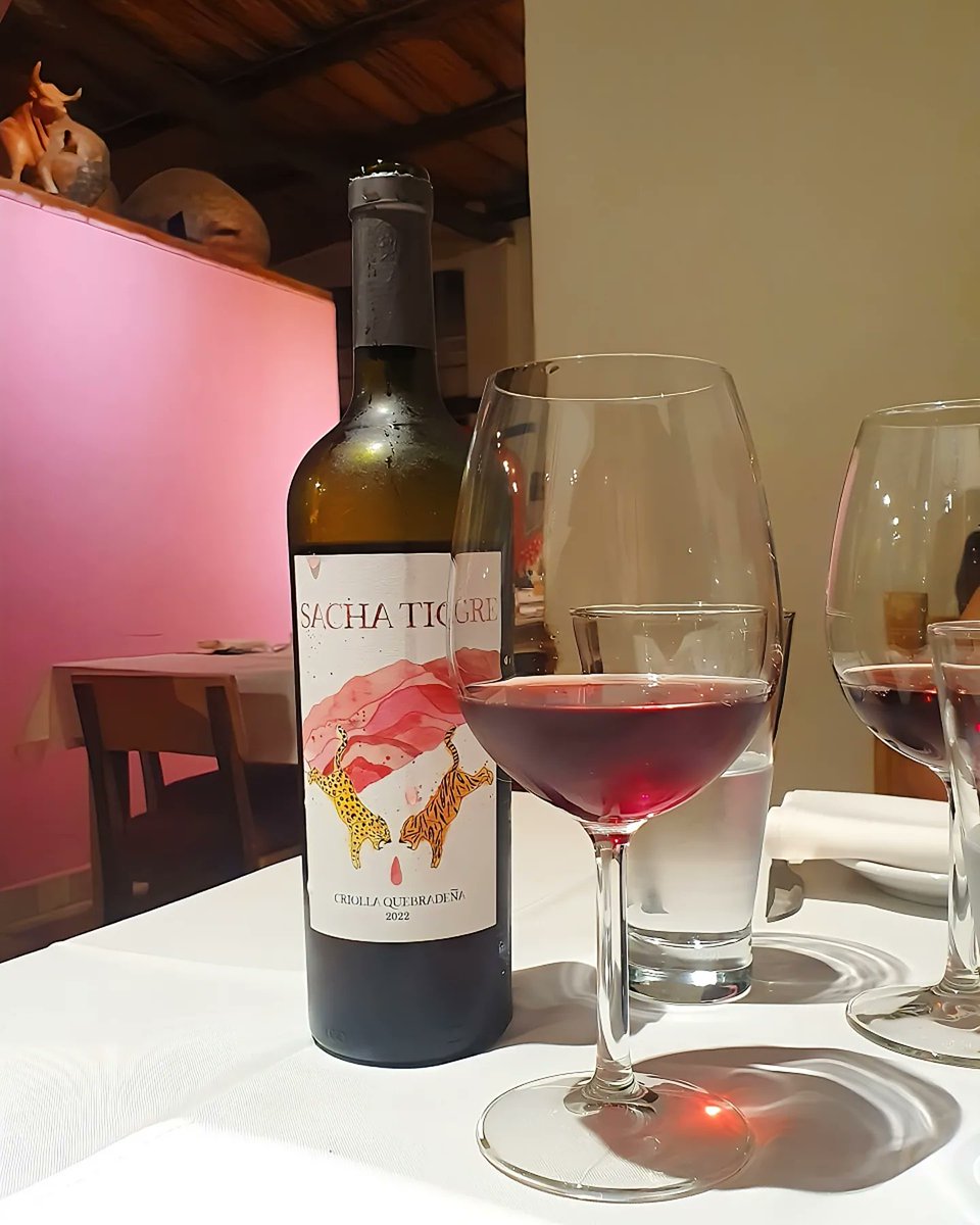 Salimos tarde [ en Purmamarca 21:00 hs es TARDE ] 
Veníamos de visitar un Viñedo, así que dormimos siesta, algo casi desconocido para mi.
Al punto, caminando por el pueblo encontramos El Mesón.
Lugar muy cálido que ofrece un Menú de 3 pasos y excelente atención.
El Vino elegido