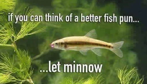 kimkomando's tweet photo. Hooked on puns? ๐ฃ If you've got a better fish pun, let minnow! It's o-fish-ally a pun-off! ๐๐ #FishPun #PunChallenge https://t.co/h3bYsKrB6L