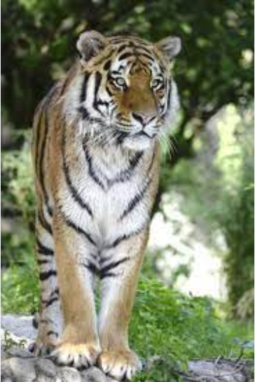 HÜSEYİN GÜN tweet media