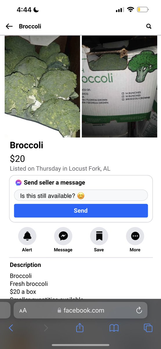 grace🕷️ tweet media