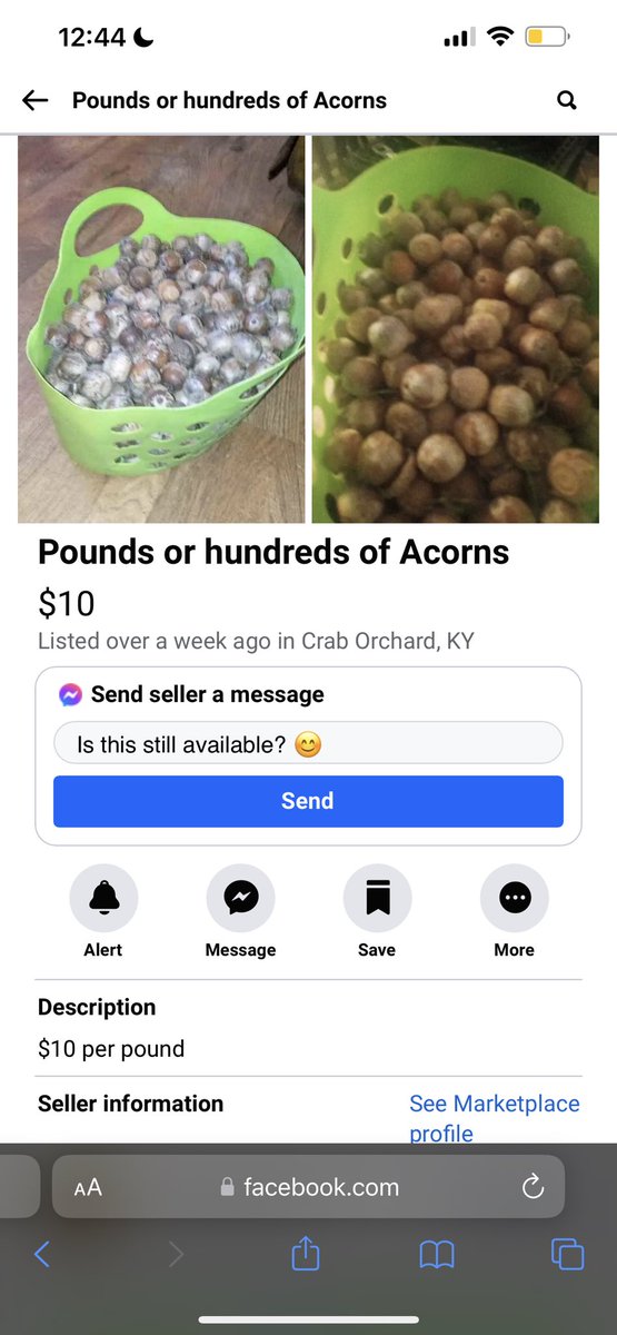 grace🕷️ tweet media