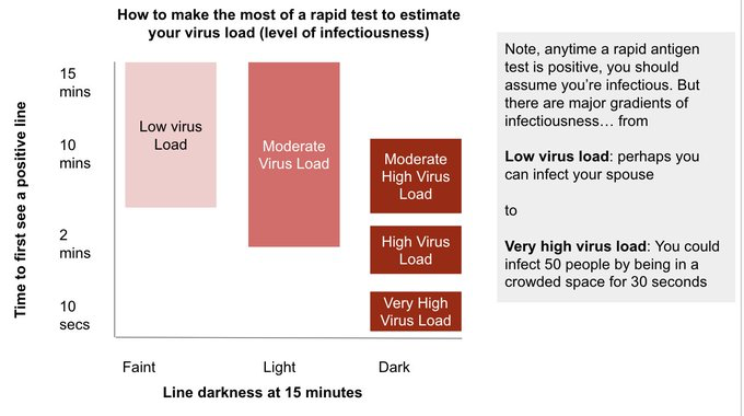 You can extract more information from rapid antigen tests than you may realize How quickly or slowly the test takes to turn positive, and how dark the line gets can help to understand how much virus you have in your sample. Here’s a diagram I made to describe it.