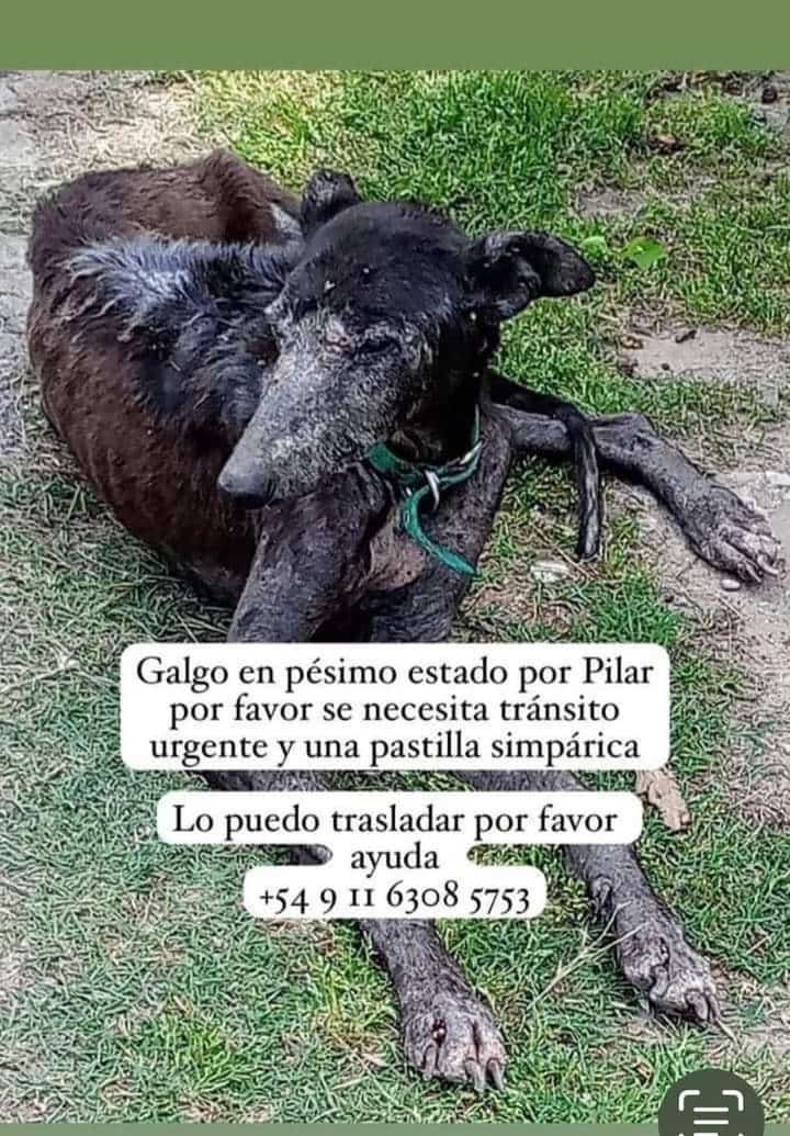 Difundimos