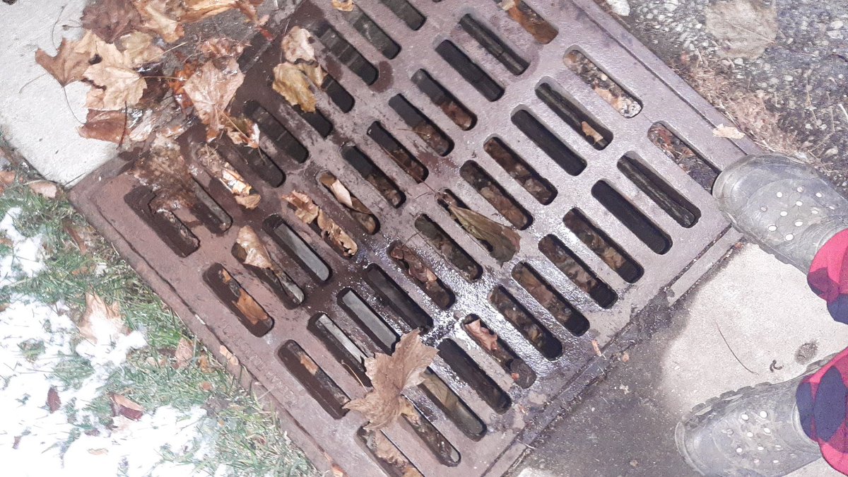 barryblockapes's tweet photo. Stormwater drains make sure that we don't get flooded when it storms. For this reason, it's important that you are mindful of what runoff you may cause due to contaminants you leave on your lawn. Watch out for fertilizer especially. #apeswater @franklinlorax https://t.co/x7aNpAZyx6