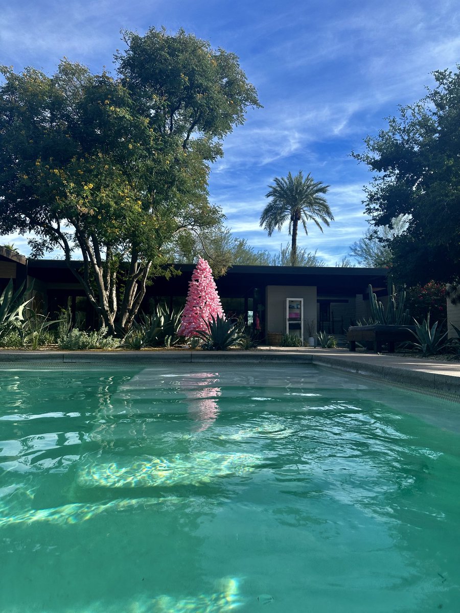 Amy Aiello Lofgren tweet media