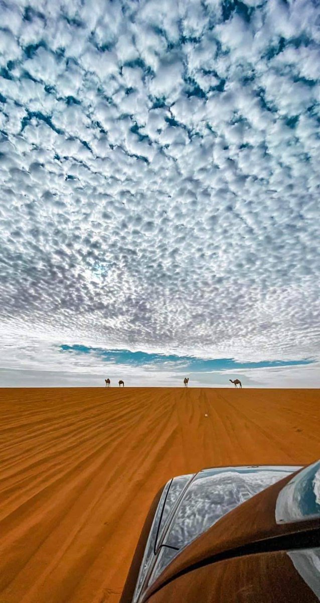 1️⃣ Ne voient-ils pas les chameaux, comment ont-ils été créés ? [88-17] 
2️⃣ et le ciel, comment il a été élevé, [88-18]
3⃣ et la terre, comment elle a été aplanie ? [88-20]