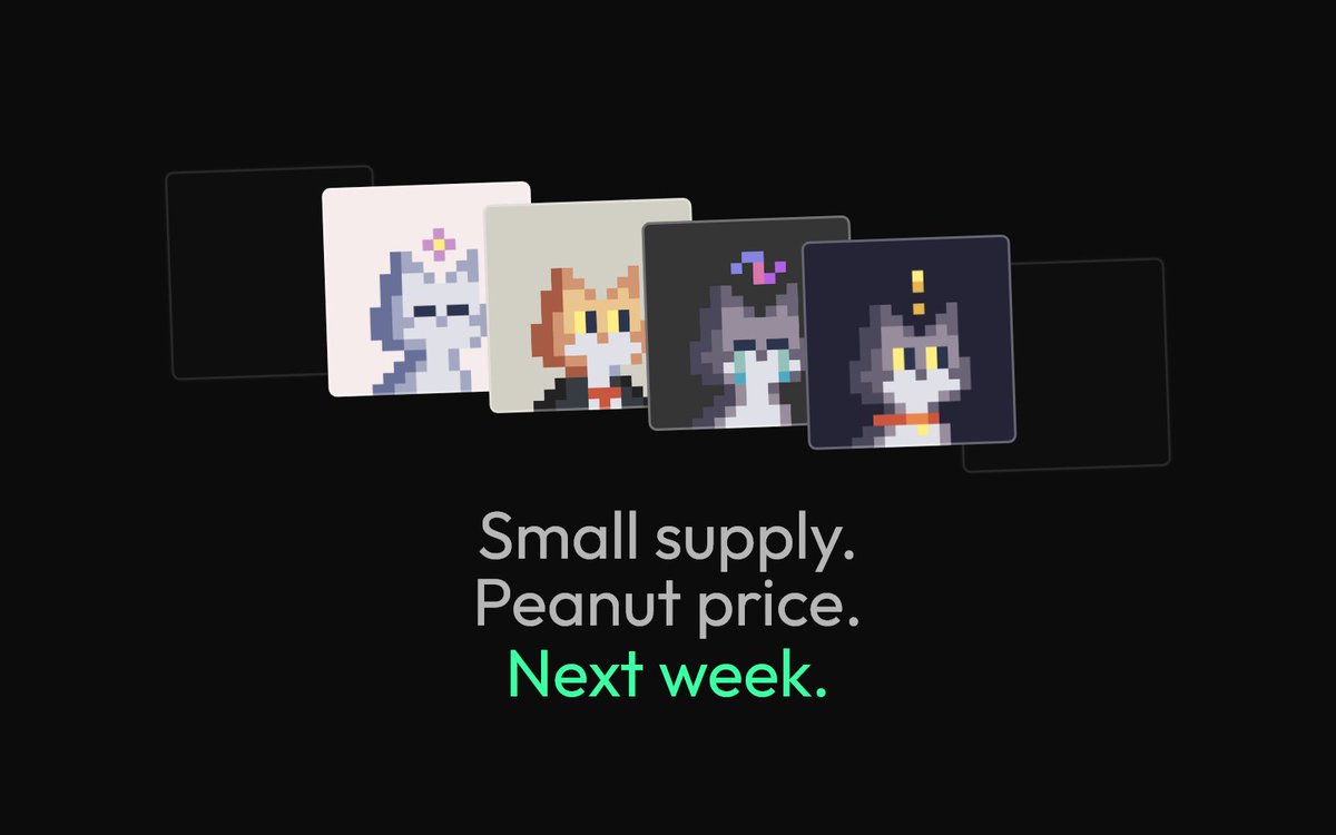 next week 😼