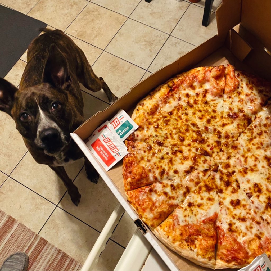 Pizza night courtesy of @SkuliFrens and @native_algo 🍕🍕🍕🍕🍕🍕
(Lana thinks it’s all for her lol)

Name another NFT project that buys its holders Pizza… I’ll wait 😉

Huge thanks for all the giveaways and rewards! #BUYSKULIFRENS #ALGO