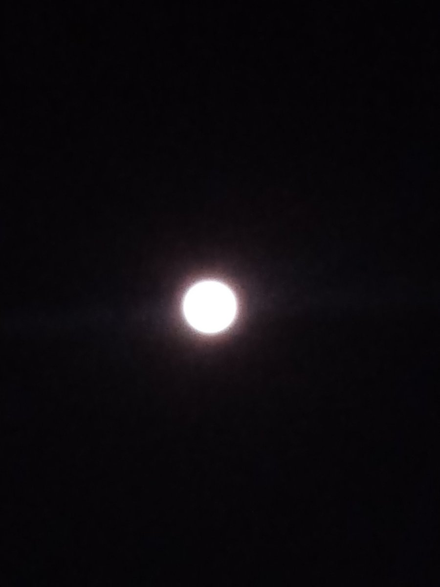 MSPDN's tweet photo. Cada noche cautivas con tu belleza, una noche me la regalaron y sigues dentro de corazon. https://t.co/V7VjqZkOAx