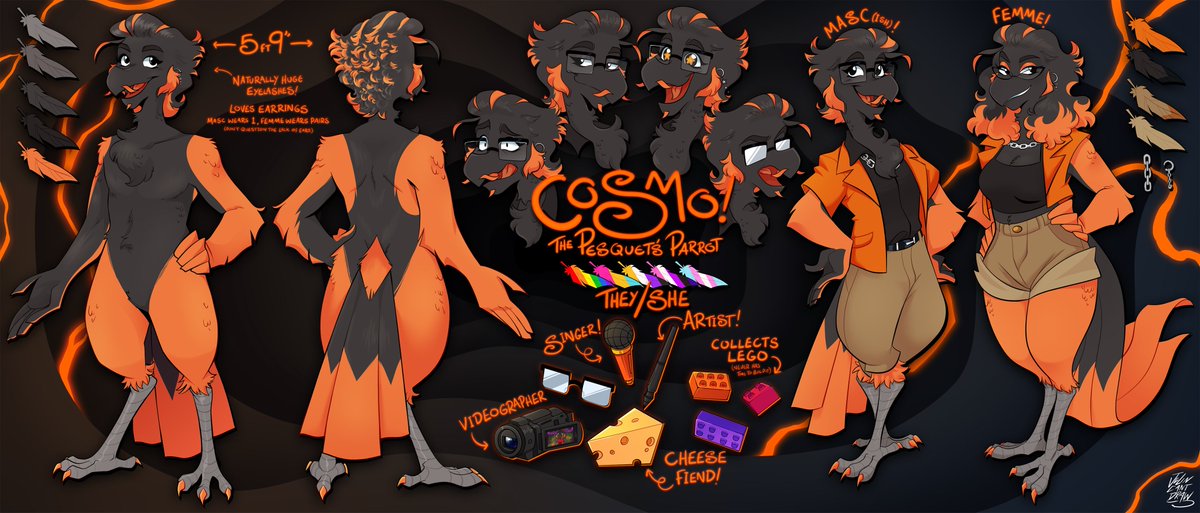 Cosmo the Stupendi-Parrot tweet media