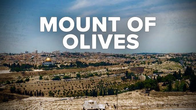 I ask yet again:

Why is Jesus returning to Jerusalem, (the Mount of Olives, Zech 14:4) if national Israel has no prophetic or covenantal status as an enduring national entity?

🇮🇱 ⛰️ 🫒 

#Israel #BiblicalProphecy