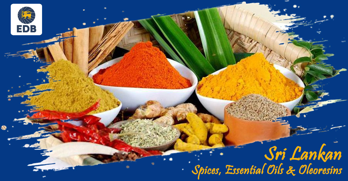 EDB_SriLanka's tweet photo. Major #SriLankan #Spices and Allied Products
More Info 👉 https://t.co/U1gM4hN3mc https://t.co/iKNXMT9g2v