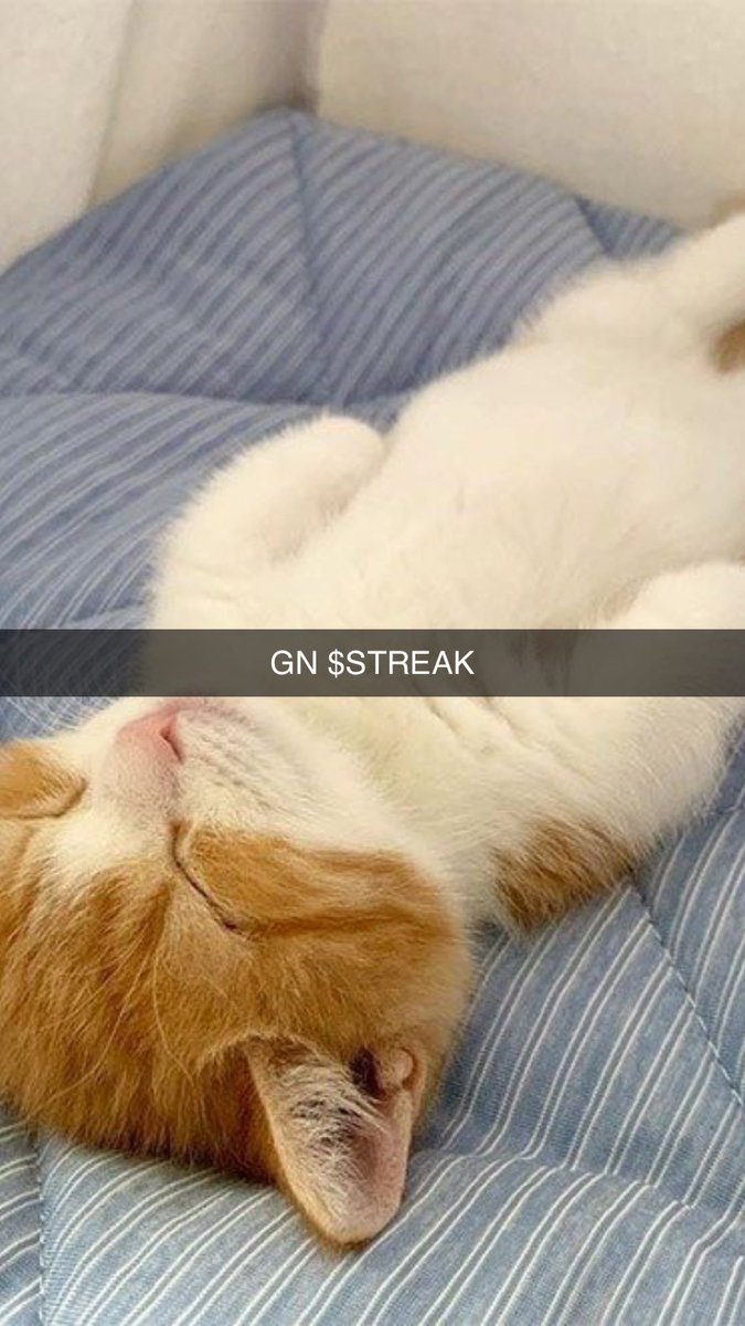 Streak tweet media