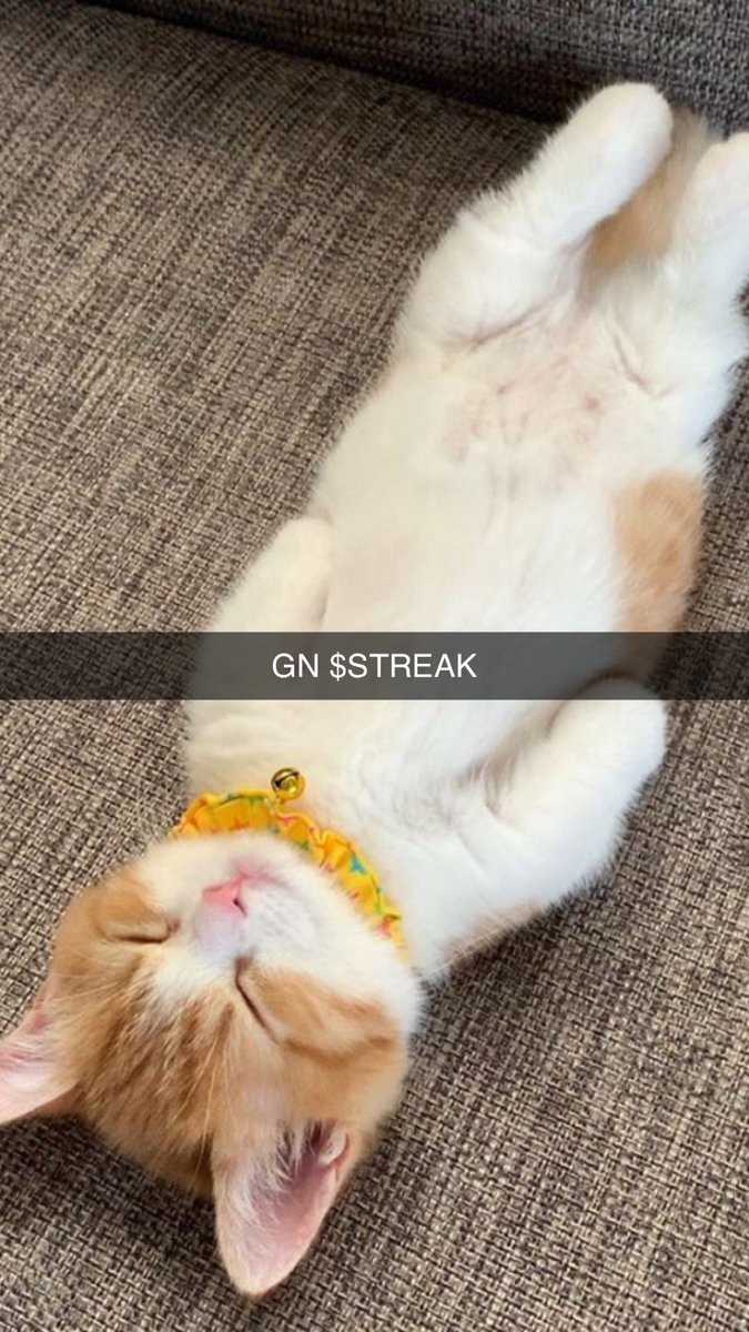 Streak tweet media