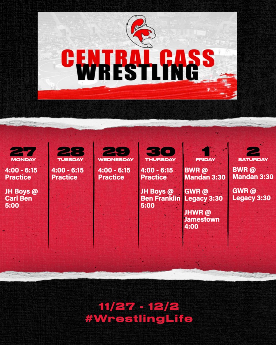 Squirrels Wrestling tweet media