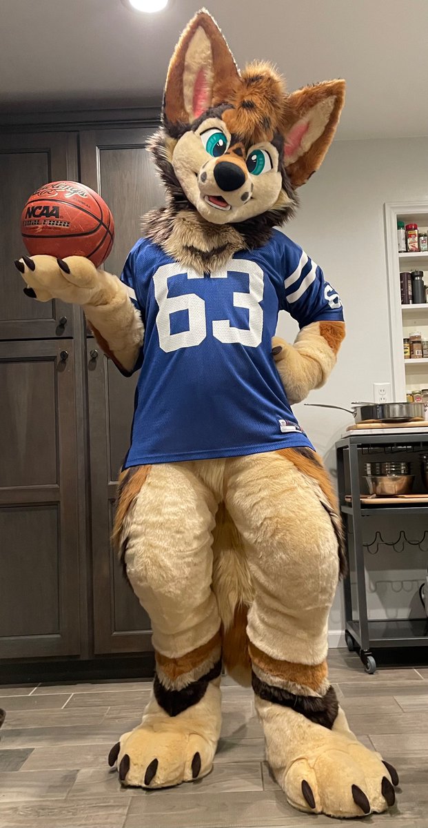 I’m told this is the wrong ball for this sport. I don’t care, I’m a dog! 📸: my husband 🪡: @Zuri_Studios