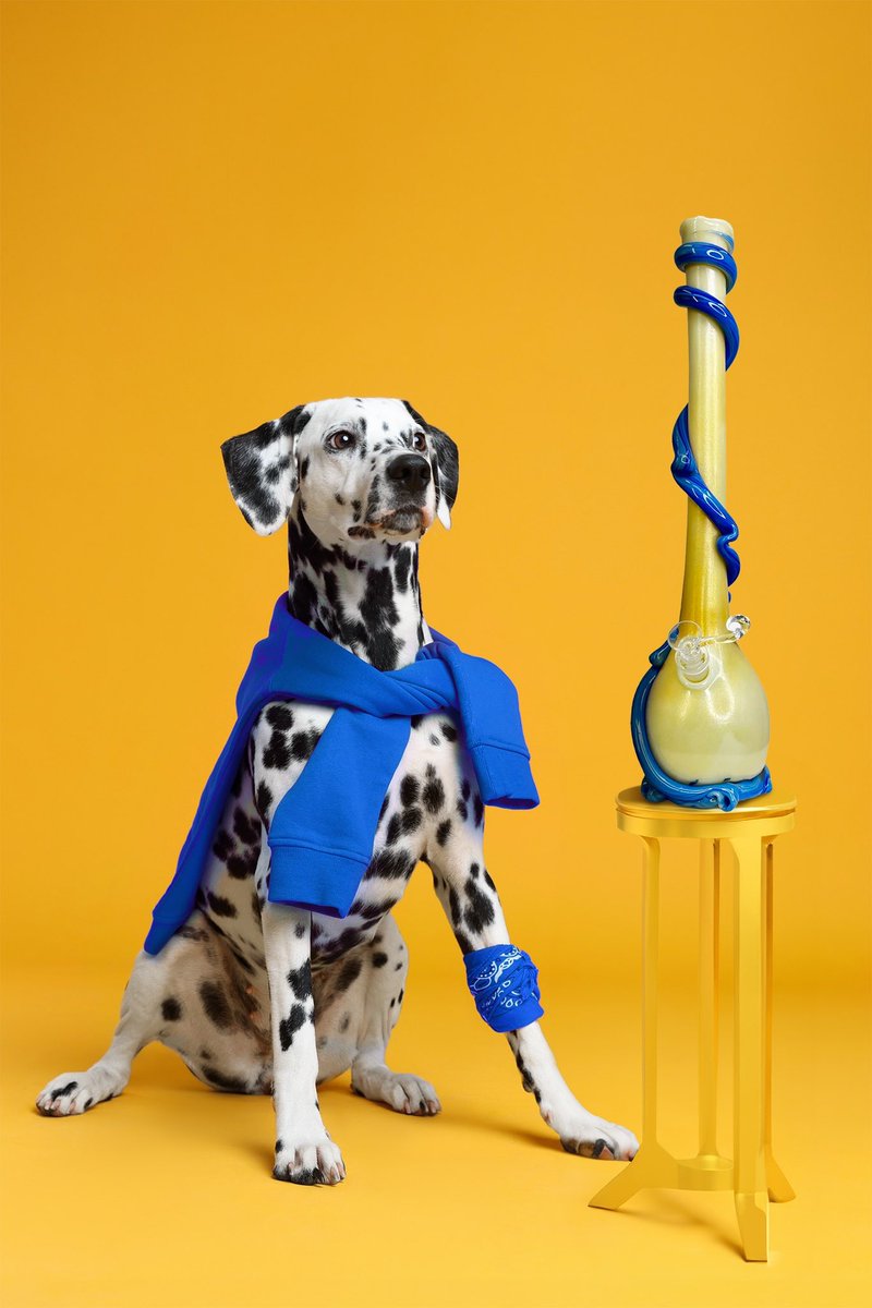 What’s your favorite?  Specialkglass.net