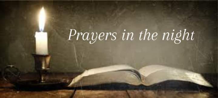 Tracy Killinger 🇺🇸 tweet media