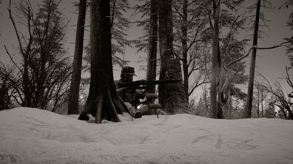 dochollidayau's tweet photo. Some Ingame camera shots from @PostScriptumGam https://t.co/aokQkmIYr3