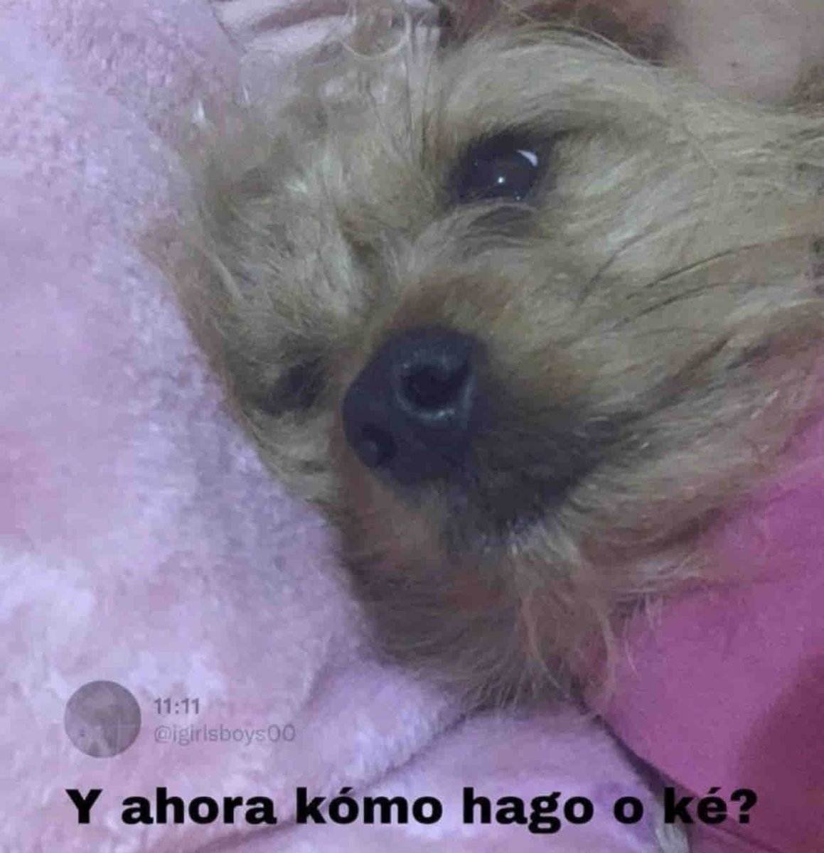 Guarromantico_'s tweet photo. Yo yendo a dormir sabiendo que mi futuro depende de mí. https://t.co/nhAOnvj5AZ