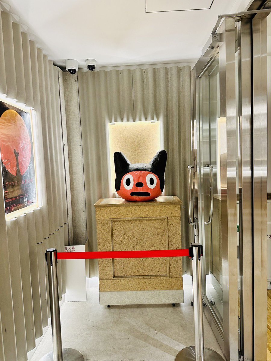 borotchi's tweet photo. アニポケチームさんからのお花、感無量でした、ありがとうございます!!!!!
ついでに昔の頭もかざったりしました
脱皮する前のやつです
あらためてご来場ありがとうございました!!!!
腰の経過は順調です
#BOROSTYLE https://t.co/t9x66VjEwG