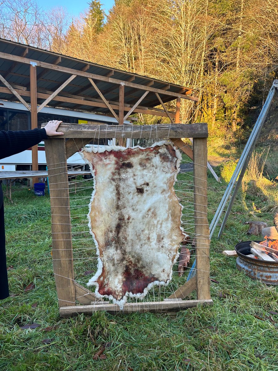 ProxyUniversal's tweet photo. Day 8 of #30daysofmaking
Finished stretching and smoking the sheep skins. Now we have tanned hides! https://t.co/0QRrYiyGml