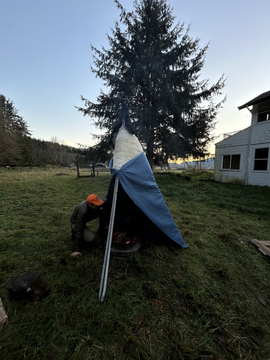 ProxyUniversal's tweet photo. Day 8 of #30daysofmaking
Finished stretching and smoking the sheep skins. Now we have tanned hides! https://t.co/0QRrYiyGml