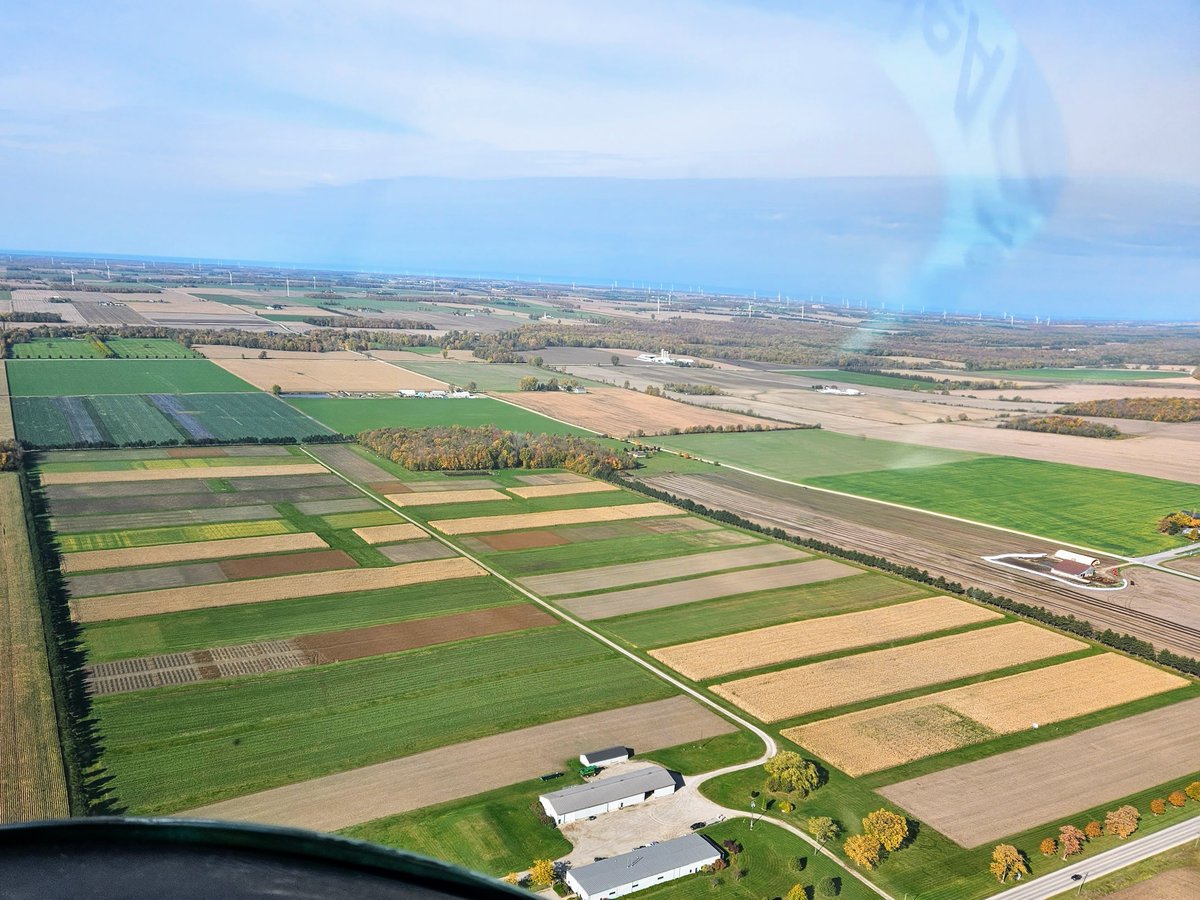 Huron Research Station, run by Ridgetown College, has a variety of field crops grown in small plots for research on crop production and pest management.
.
photo taken near Centralia on Oct. 24, 2023
.
#ontarioagriculture #ridgetowncampus #universityofguelph