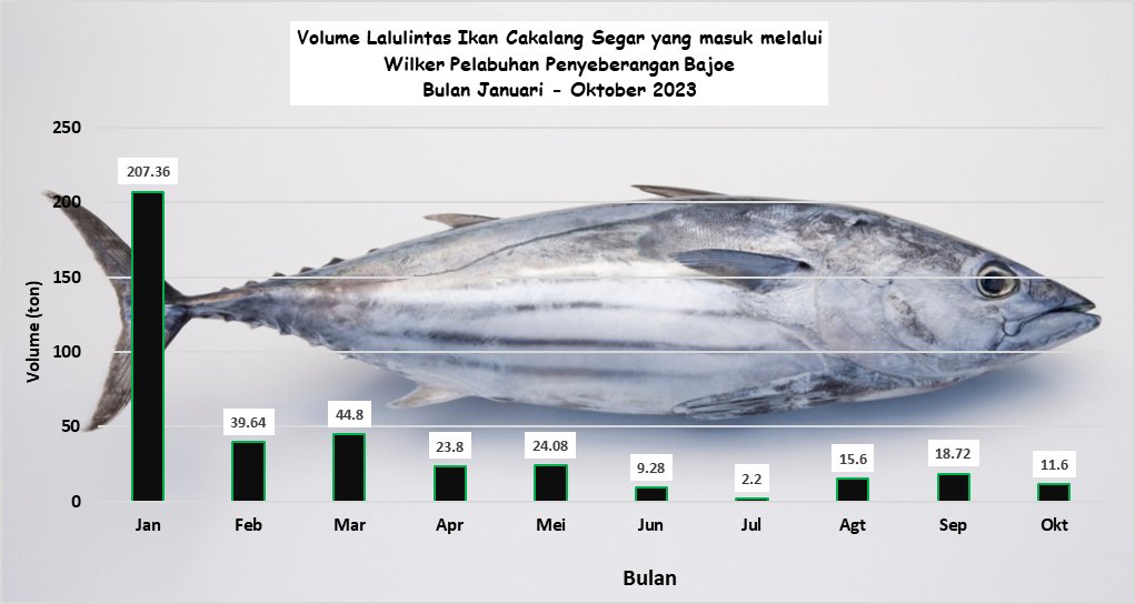 27/11/2023, Volume Lalulintas Ikan Cakalang Segar yang masuk melalui Wilker Pelabuhan Penyeberangan Bajoe Bulan Januari - Oktober 2023 #KKPThrive <a href="/kkpgoid/">KKP RI</a> @bkipm_kkp <a href="/IdjahChadidjah/">Idjah</a> @BKIPMMakassar