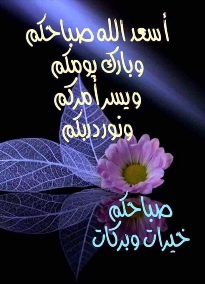 maajeed_42's tweet photo. https://t.co/cGKi93jWp2