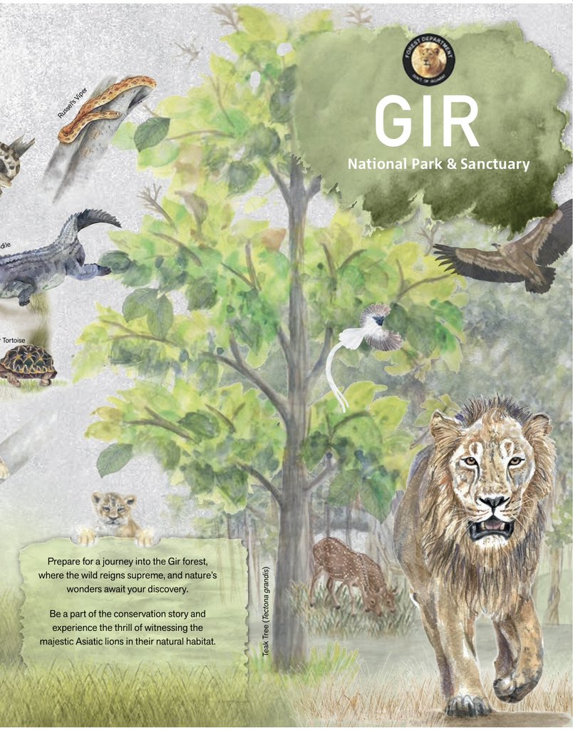 Explore the wonders of #Gir with our brochure, 'Roaring Wilderness of the Asiatic Lions🦁”. Download the digital copy at (girlion.gujarat.gov.in/DownloadDetail…) or pick up a free hard copy at #SinhSadan, #Sasan. #JungleSafari @PccfWildlife @GujaratTourism @CMOGuj @moefcc @CCF_Wildlife