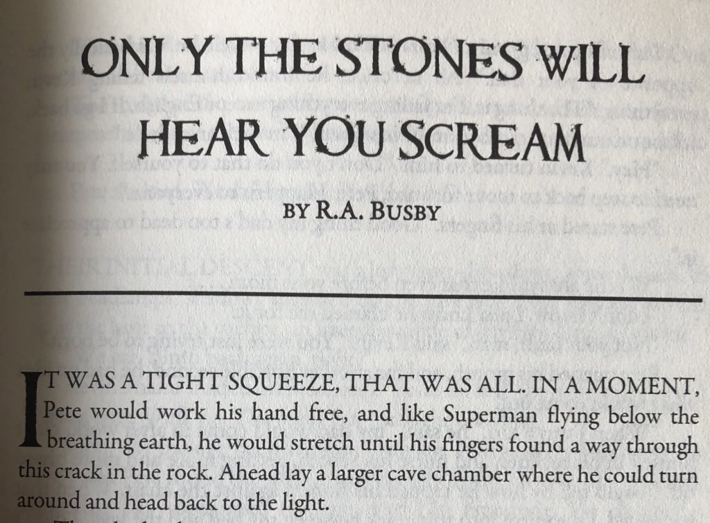 What does the darkness have in store for you: salvation or termination? An excellent question explored by @RABusby1 in @DarkMoonBooks vol. 8 +HORROR LIBRARY+. Anyone care to go spelunking? #ChristmasGhostStories