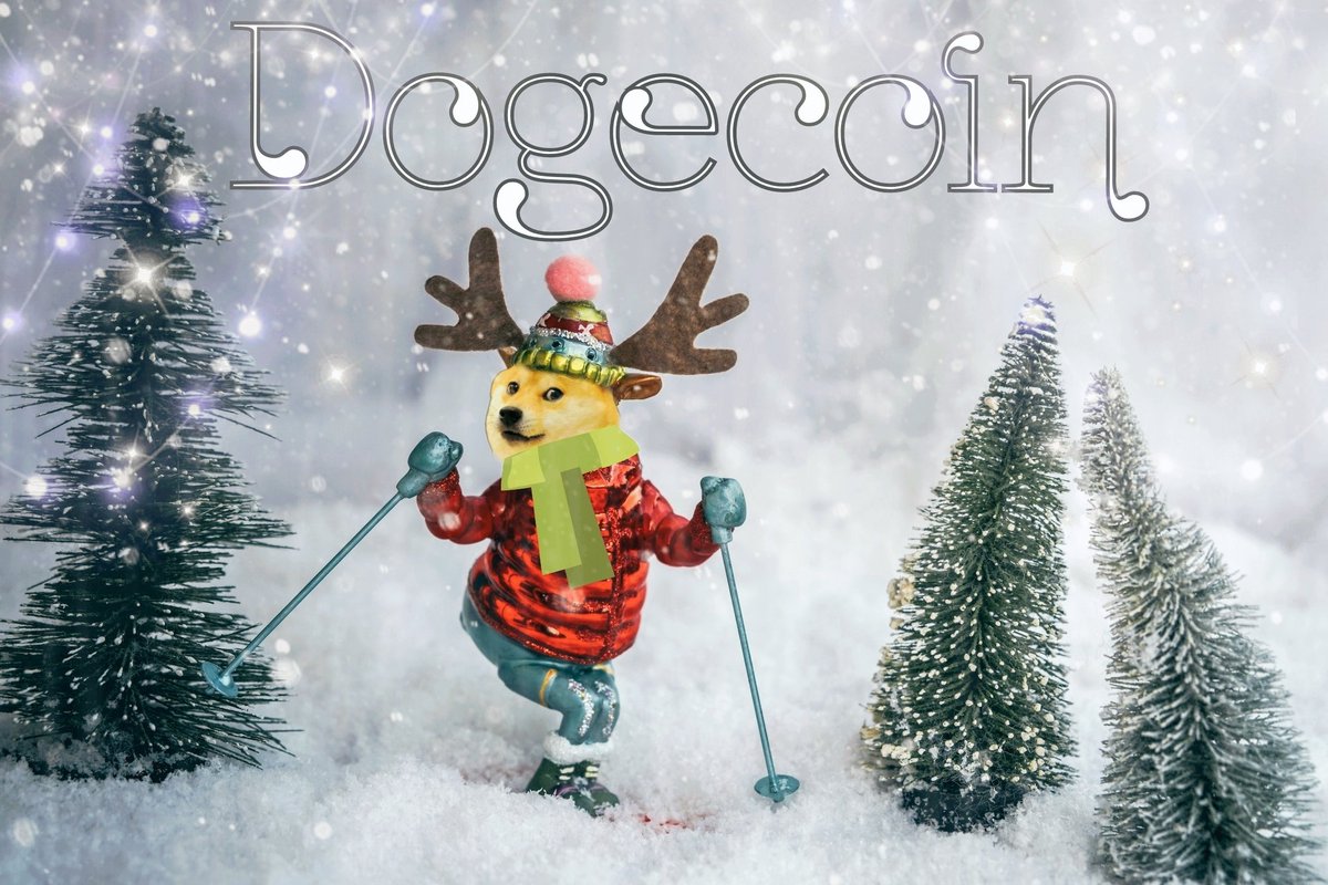 doge_mom's tweet photo. $doge ❄️ #doge
#dogecoin https://t.co/AMDjgaUoG2