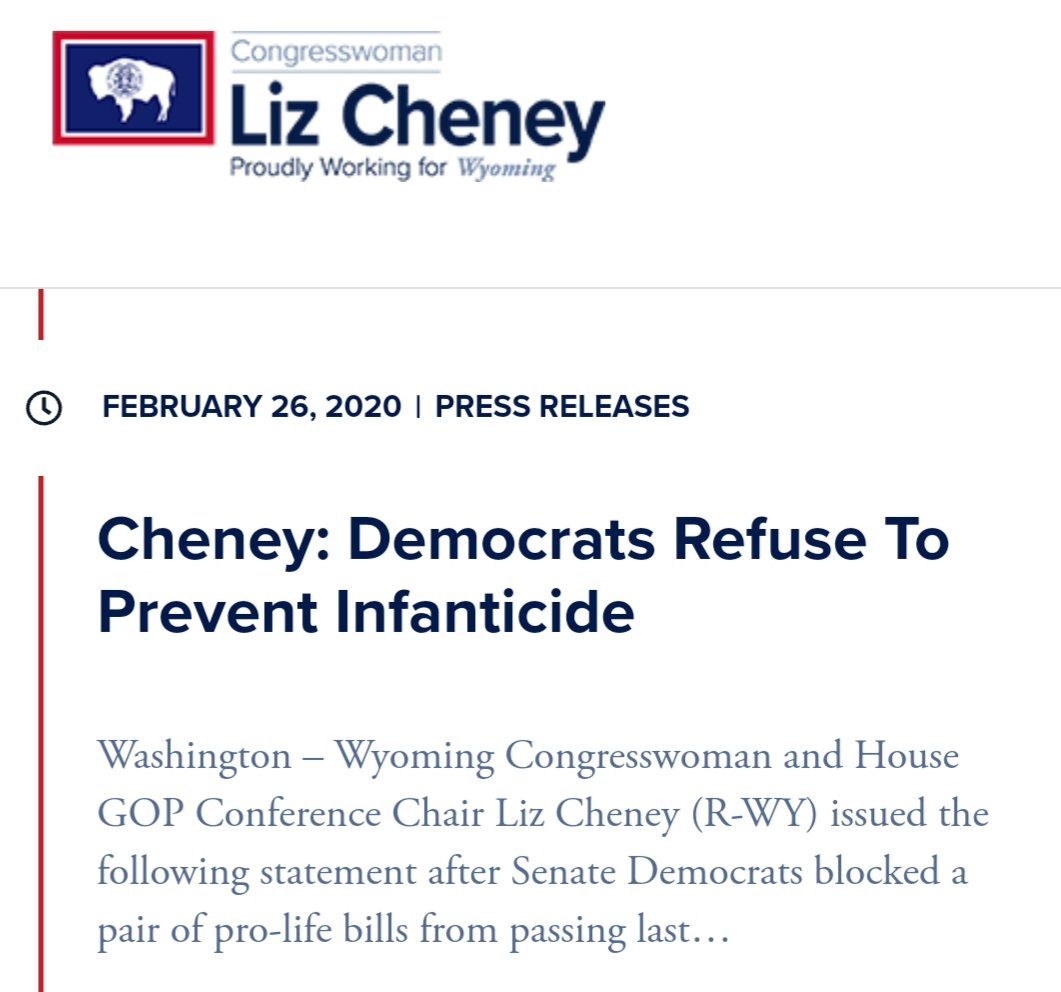 This is an actual press release from LIZ CHENEY.