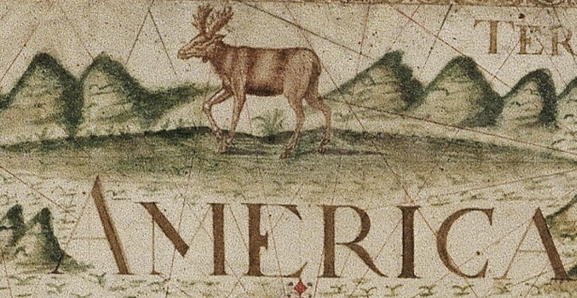 statelibrarynsw's tweet photo. The closer you look, the more you see! Elephants, monkeys, deer and sea monsters spotted on a 1706 world map by Joseph Da Costa E Miranda. #MappyMonday #MapMonsterMonday

Here's a video on how we digitised this map: https://t.co/Qncm2UggPb https://t.co/YMUdkOZ5kv