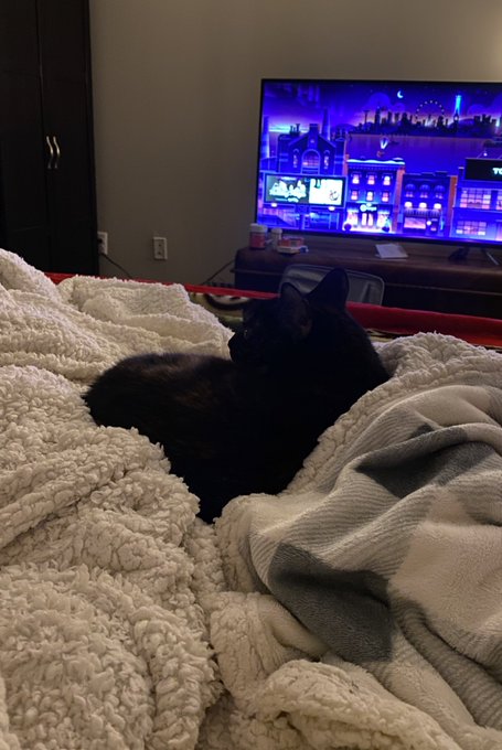 we&rsquo;ve been watching 30 Rock and napping all day. hi https://t.co/KcZiZjNEq9